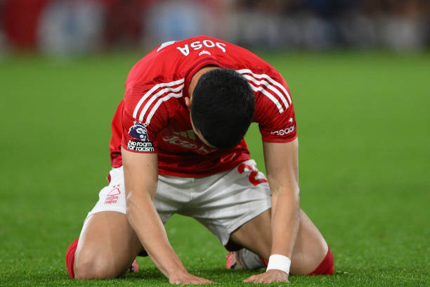 的表现有所 的表现有所