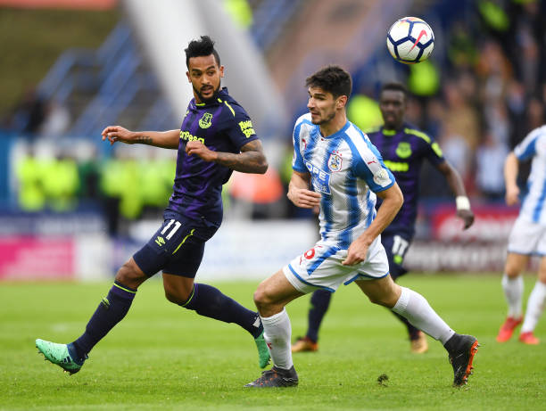 拼搏的罗伊 拼搏的罗伊